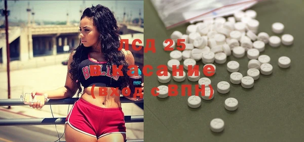 сатива Балахна