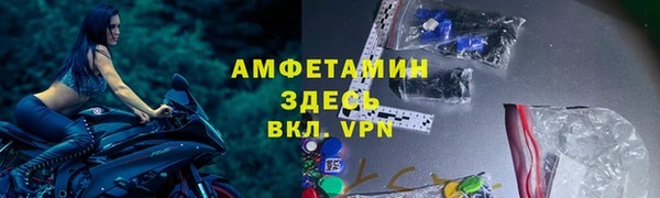 сатива Балахна