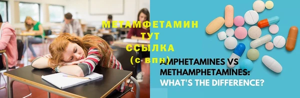 сатива Балахна