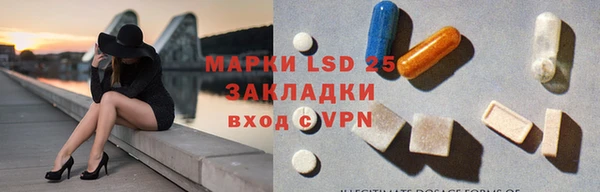 сатива Балахна