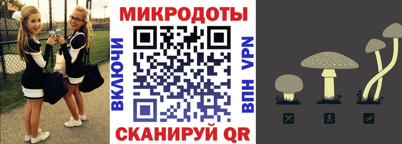 где купить   Нижняя Салда  Галлюциногенные грибы Psilocybine cubensis 